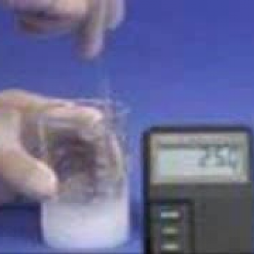 Endothermic Reaction Science Lab