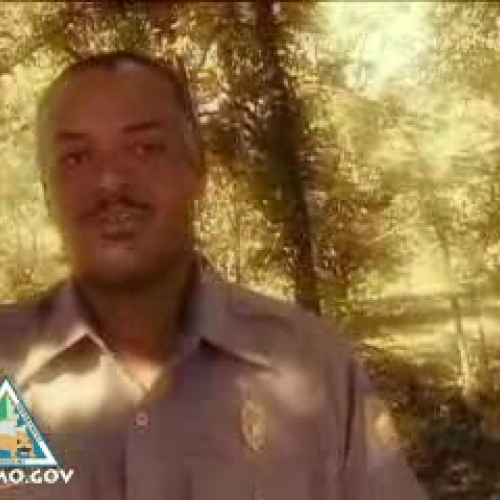 Conservation Agent Career