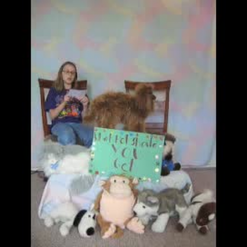 What Pet Should You Get