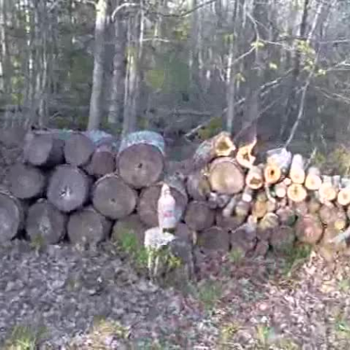 Mentos and Diet Coke