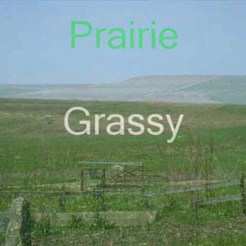 Prairie by Cole