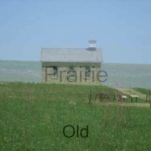 Prairie by Hannah and Travis