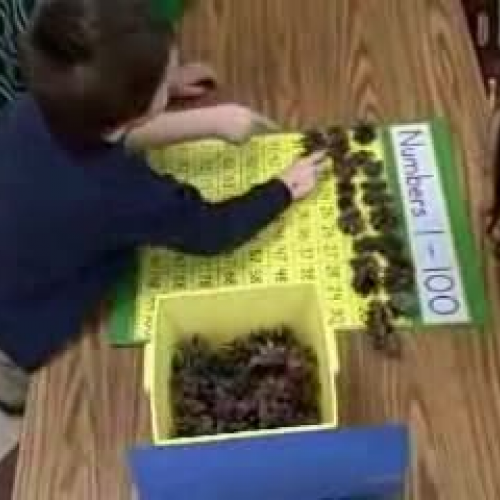 Pinecone Counting Game
