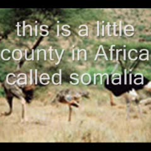 commercial video on somalia