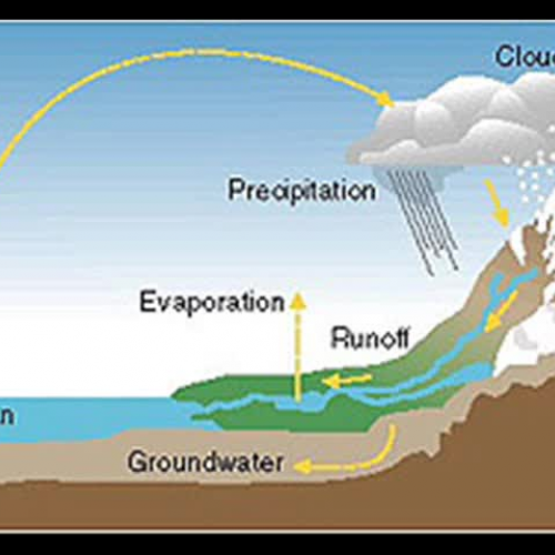 The Water Cycle