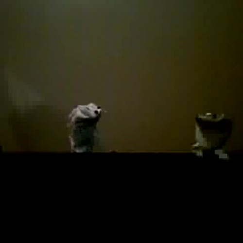 polar bear and seal puppets