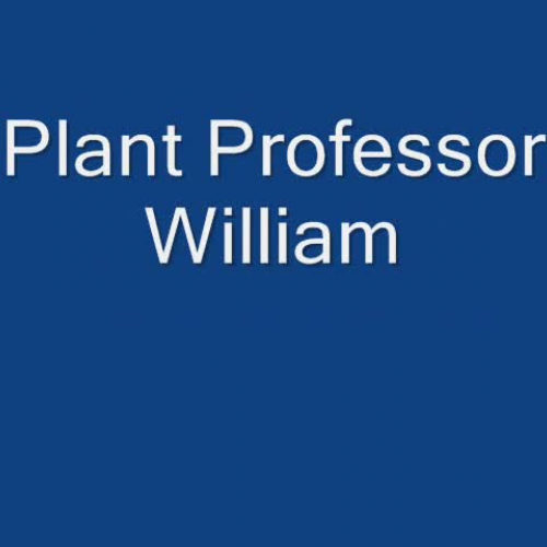 CPE ODS Highlights.3