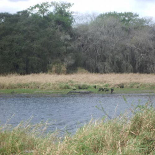 Watersheds