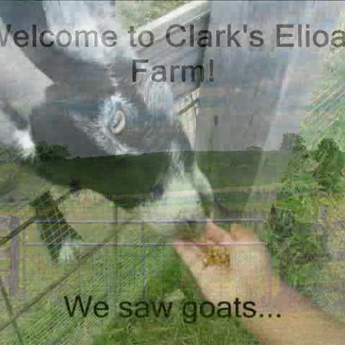 Clarks Farm Photo Story