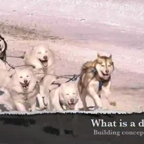 Classroom Innovation