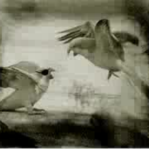 22 May 2008 Preposition Review