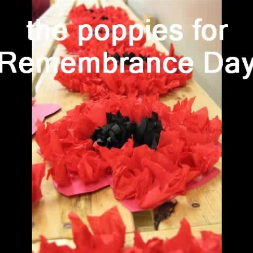 Danny Cho _ Student Led Conference