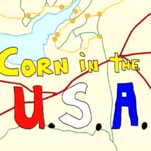 Corn in the USA