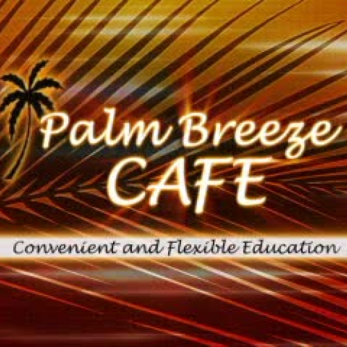 Palm Breeze CAFE in Review