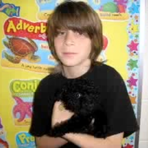 Lignell Digital Memories 2007-2008