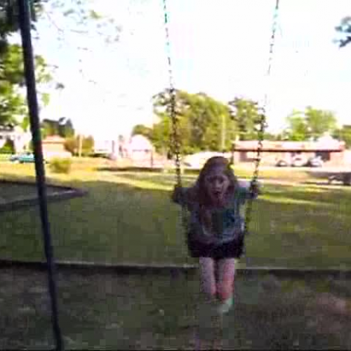 How People Affect Wildlife