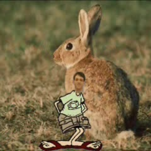Is Anybunny Listening? - An Adaptation Short