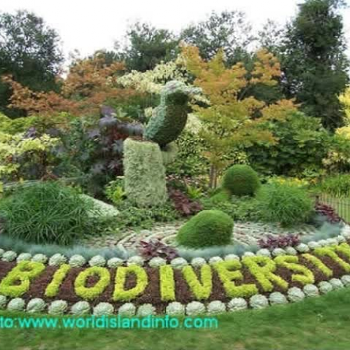 Biodiversity and Environment