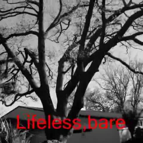 Autumn Poem 3 Three Kings School