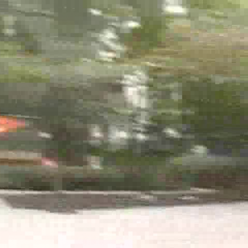 Advice to a College Freshman