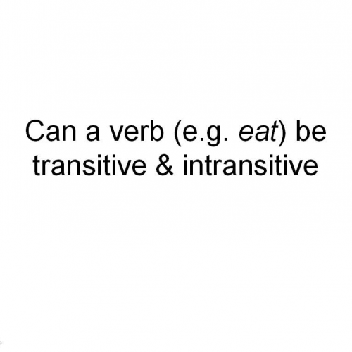 Transitive or intransitive or both