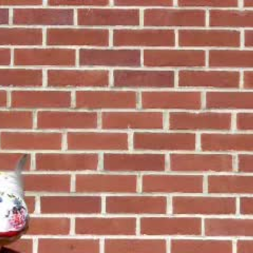 5th Grade Puppet Skit 6