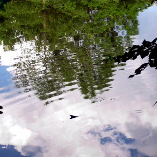 Looking and Learning by Suzie H. Chelsea