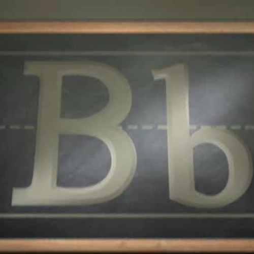 Polk County Schools 2008 Blackboard Video Con
