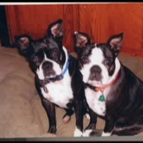 Seven Wonders of Summer