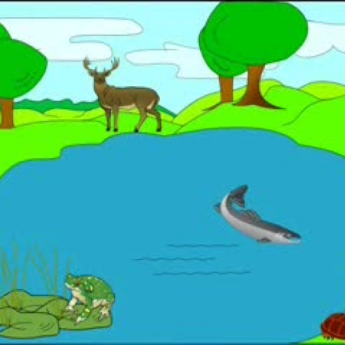 Ponds- A Freshwater Habitat