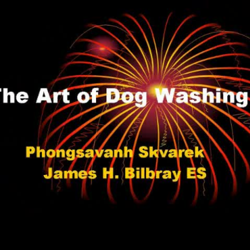 The Art of Dog Washing