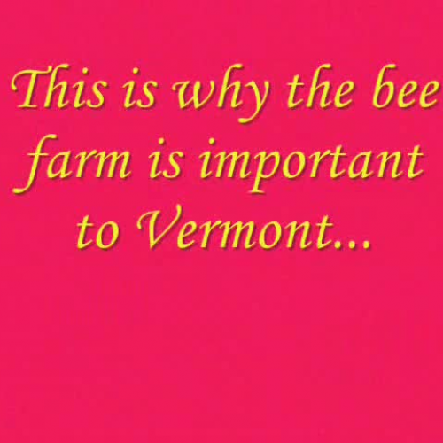 Bee Farming in Vermont
