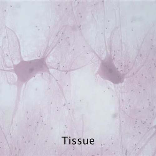 A Journey to Existence