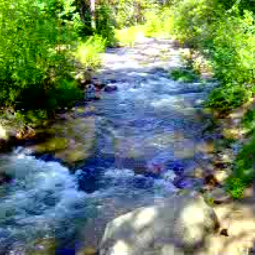 Watching the Fall River Flow One July Morning