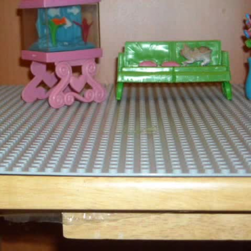 The Cat and the Fish