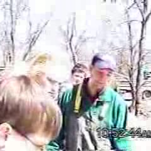 Netting Walleye