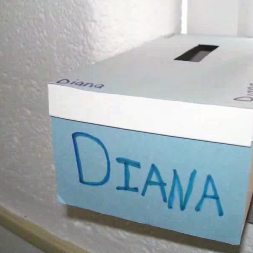 Invitation to SI by Diana