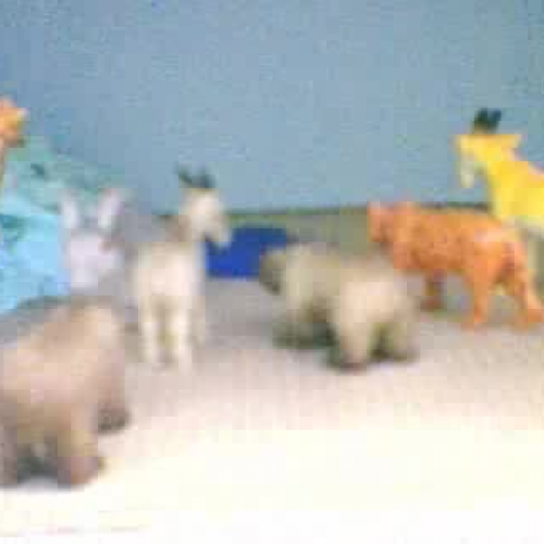 Ronnie The Rabbit In Love