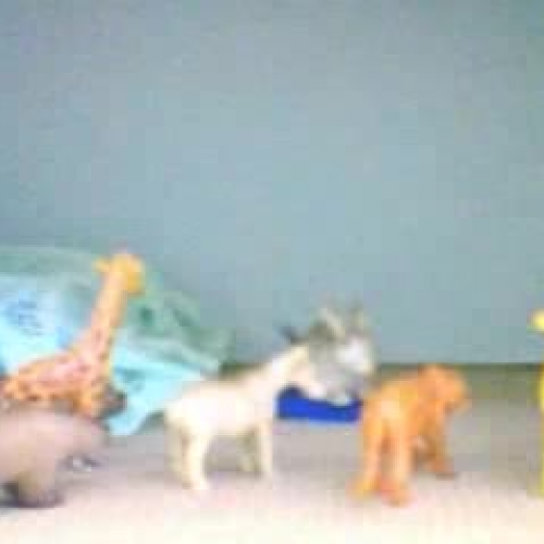 Ronnie the Rabbit in Love