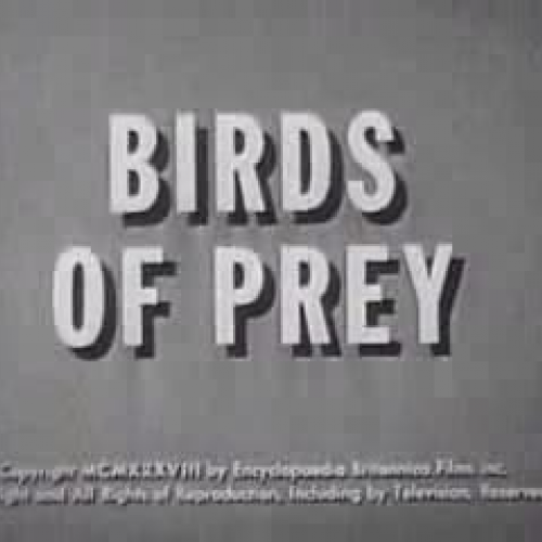 Birds of Prey (1938)