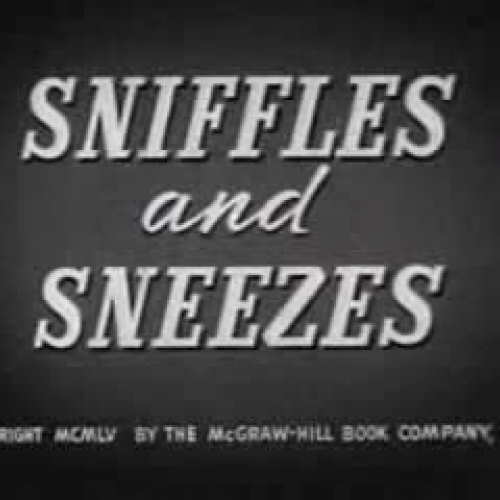 Sniffles and Sneezes (1955)