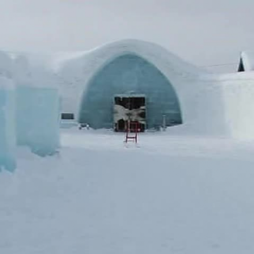 Inside the Artic