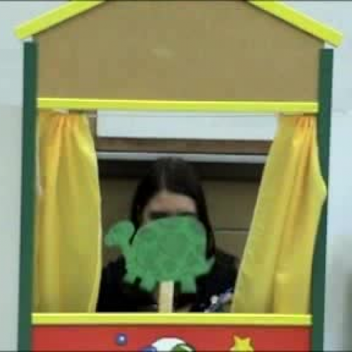 La Tortuga que Podria