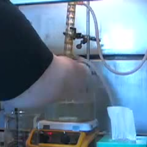 Making Biodiesel - Step 4