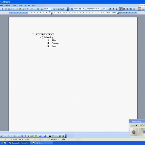 3 WP size colour and Font