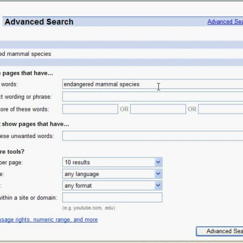 Advanced Google Search