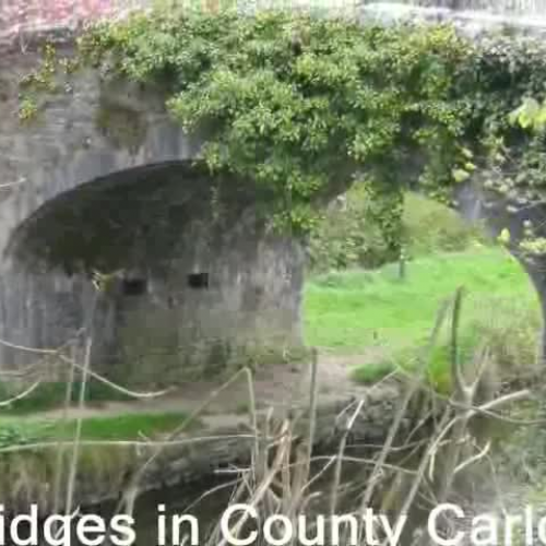 Bridges in County Carlow