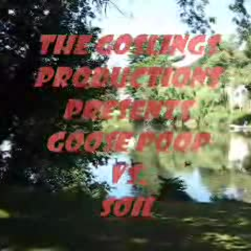 Goose Poop vs. Soil by The Goslings