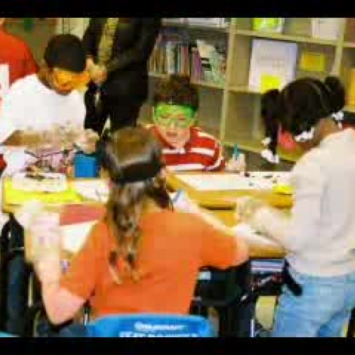 3rd Grade Owl Pellet Activity