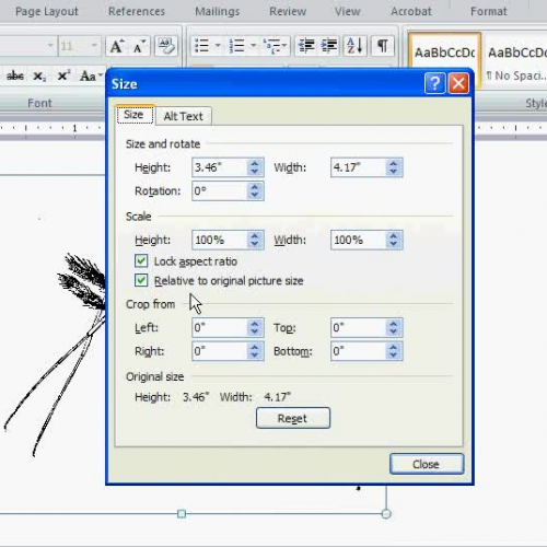 Resize Graphics in Word 07